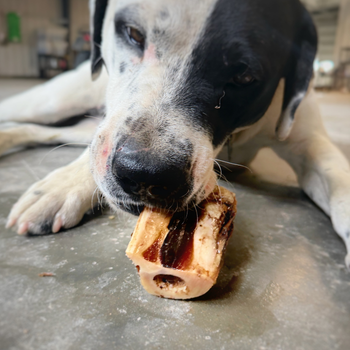 Smoked Dog Bone